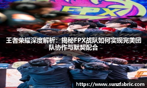 王者荣耀深度解析：揭秘FPX战队如何实现完美团队协作与默契配合